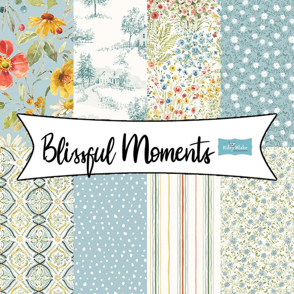 Blissful Moments by Lisa Audit for Riley Blake Designs - Fort Worth Fabric Studio