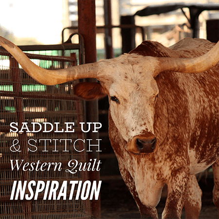 Western Quilt Fabric, Kits & Inspiration - Fort Worth Fabric Studio