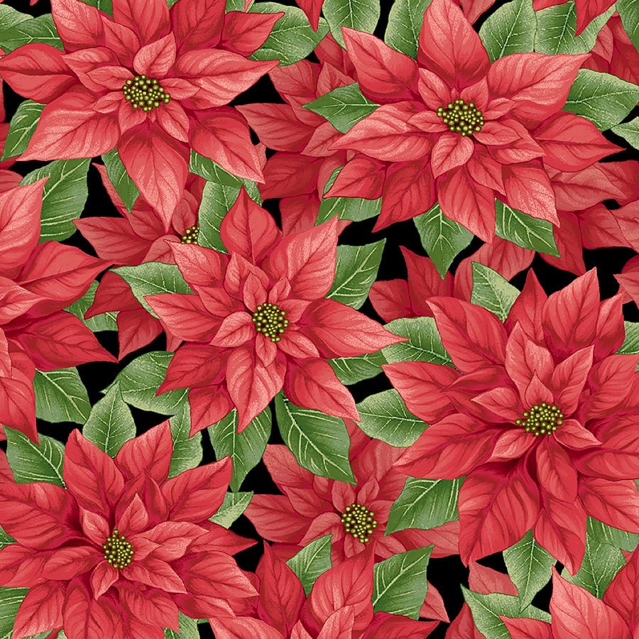 108" Quilt Backs Poinsettia Splendor Black & Red from Henry Glass 3 YARD CUT - Henry Glass from Fort Worth Fabric Studio