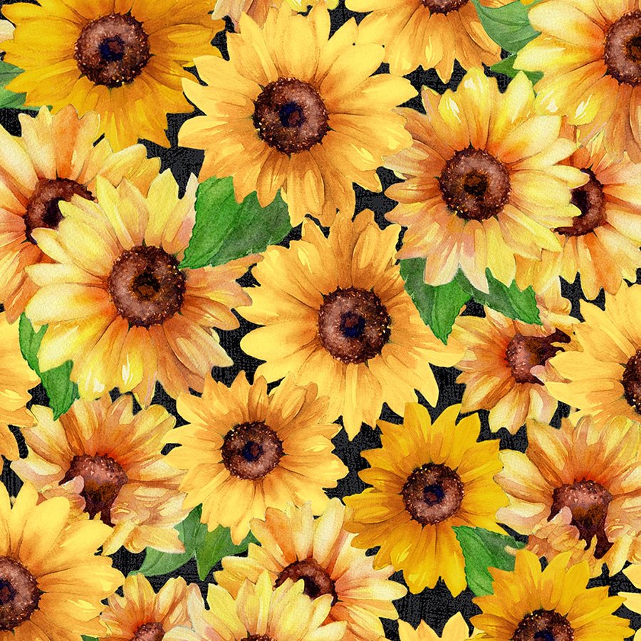 108" Wide Quilt Backing Sunshine Whispers Packed Sunflowers Black - Wilmington Prints from Fort Worth Fabric Studio