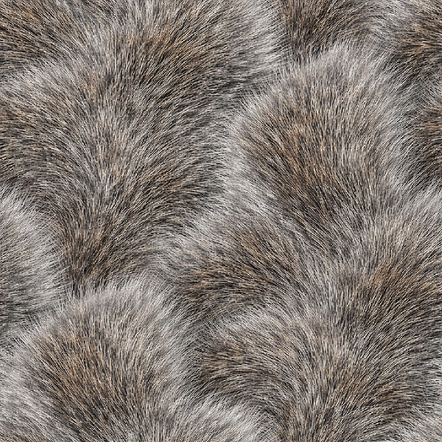 Before The Shot Bushy Tail Gray