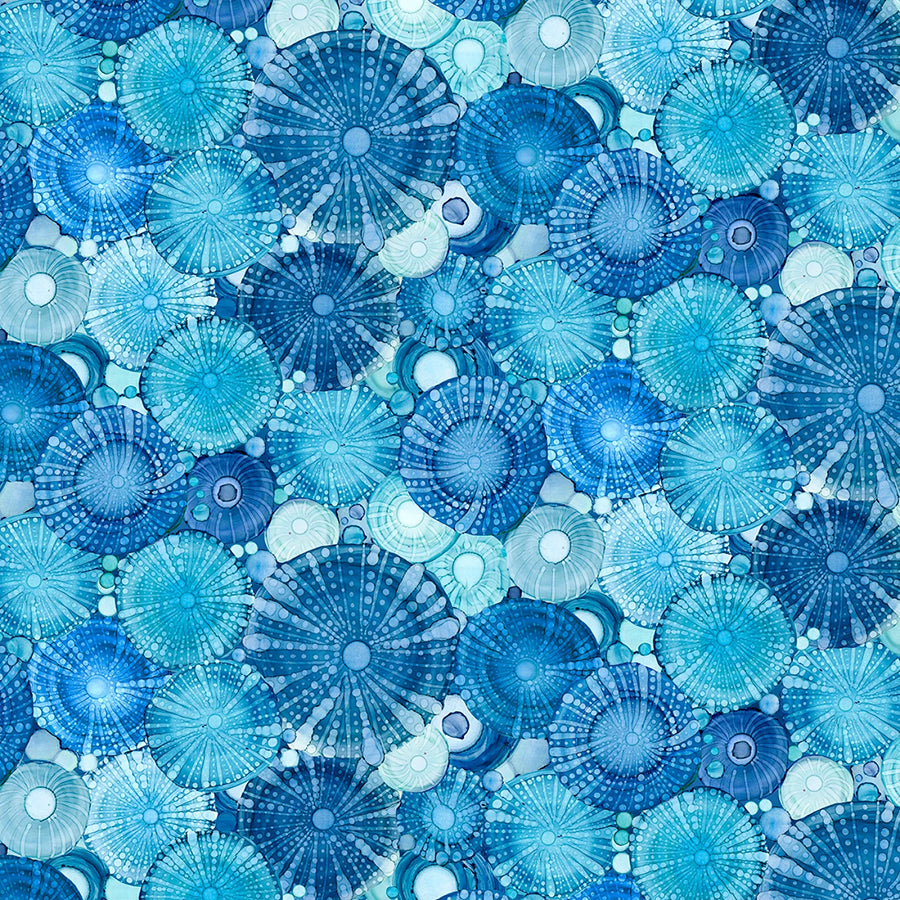 Sapphire Seas Packed Sand Dollars Dark Blue