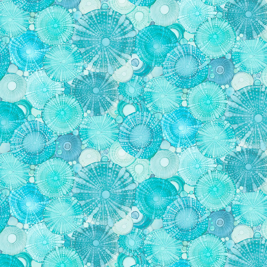 Sapphire Seas Packed Sand Dollars Teal