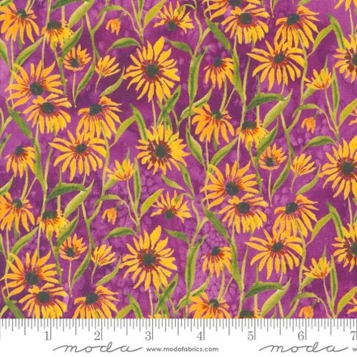 Floribunda Sunflowers Violet