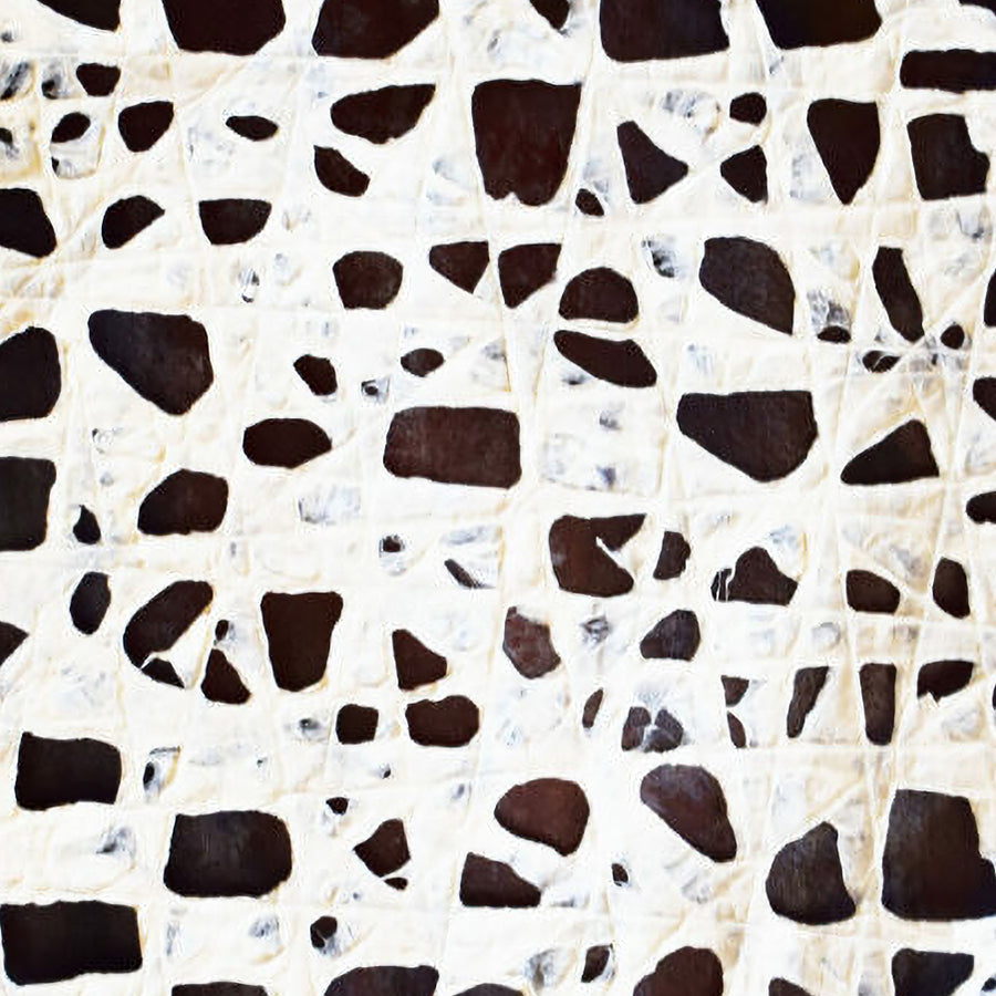 Northcott Amok Spots Cream/Brown 1 Yard Cut