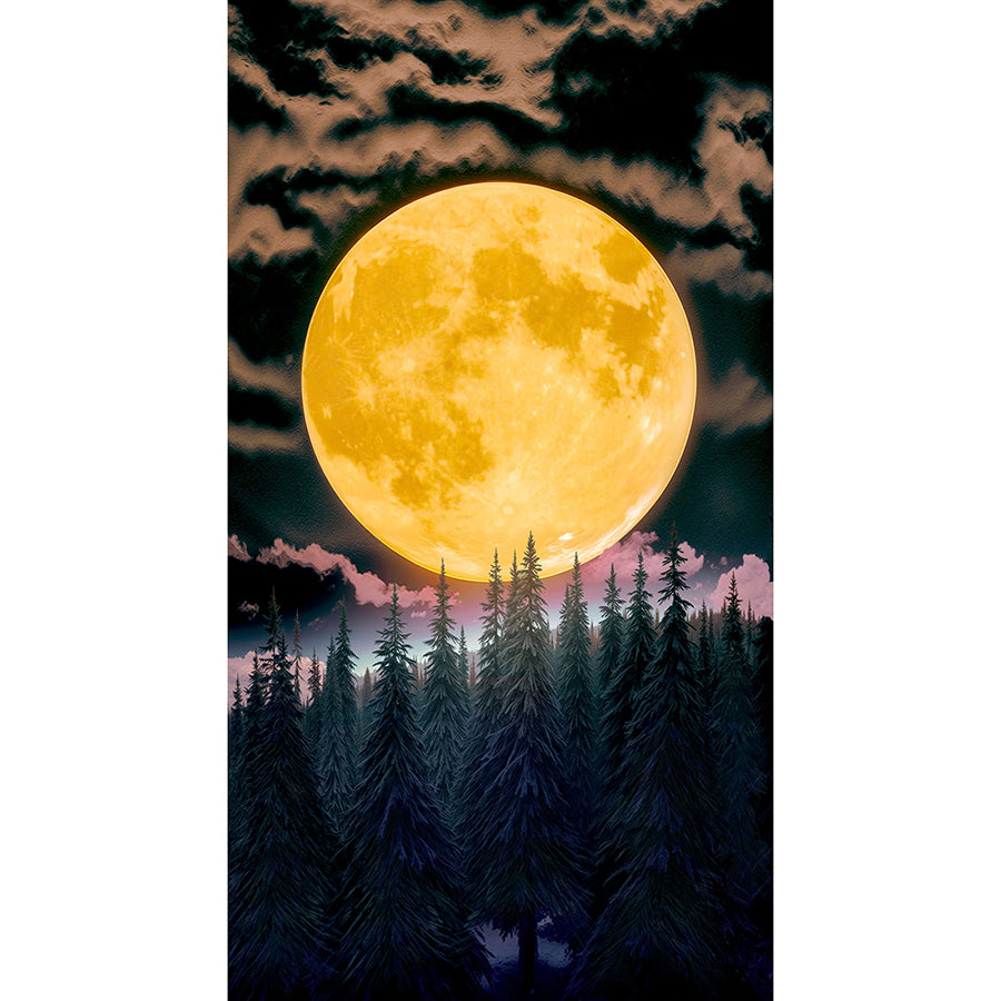 Super Moon 24" Panel Black