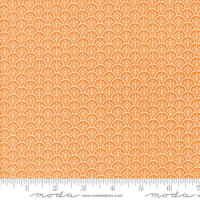 Agatha Road Scallop Blenders Pumpkin - Moda from Fort Worth Fabric Studio
