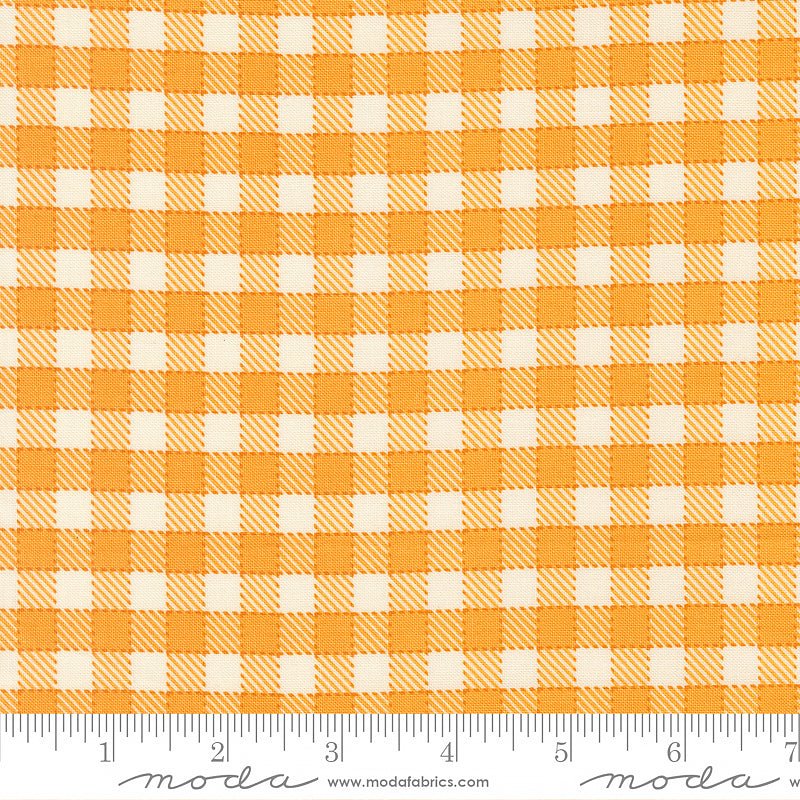 Animal Park Fun Checks & Plaids Canary - Moda from Fort Worth Fabric Studio