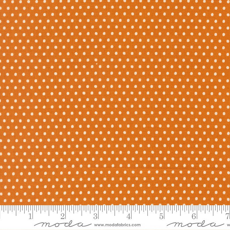 Animal Park Fun Dots Tiger - Moda from Fort Worth Fabric Studio