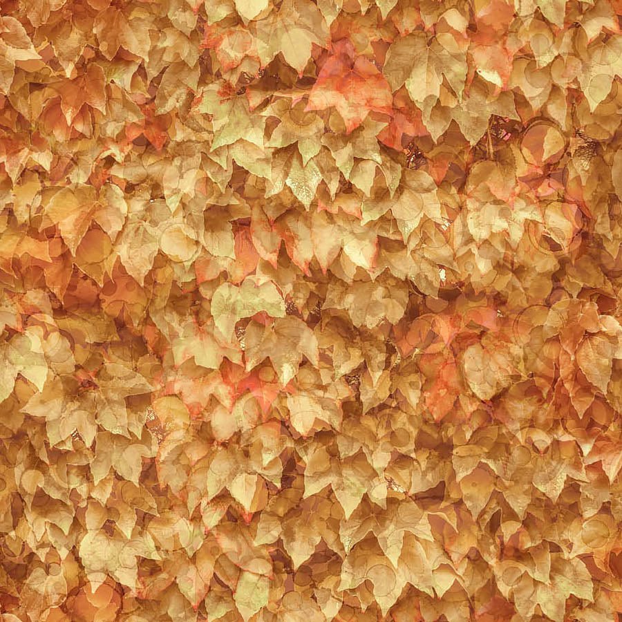 Autumn Breeze Leaf Pile Warm – Remnant 39″ × 44″ - Northcott from Fort Worth Fabric Studio