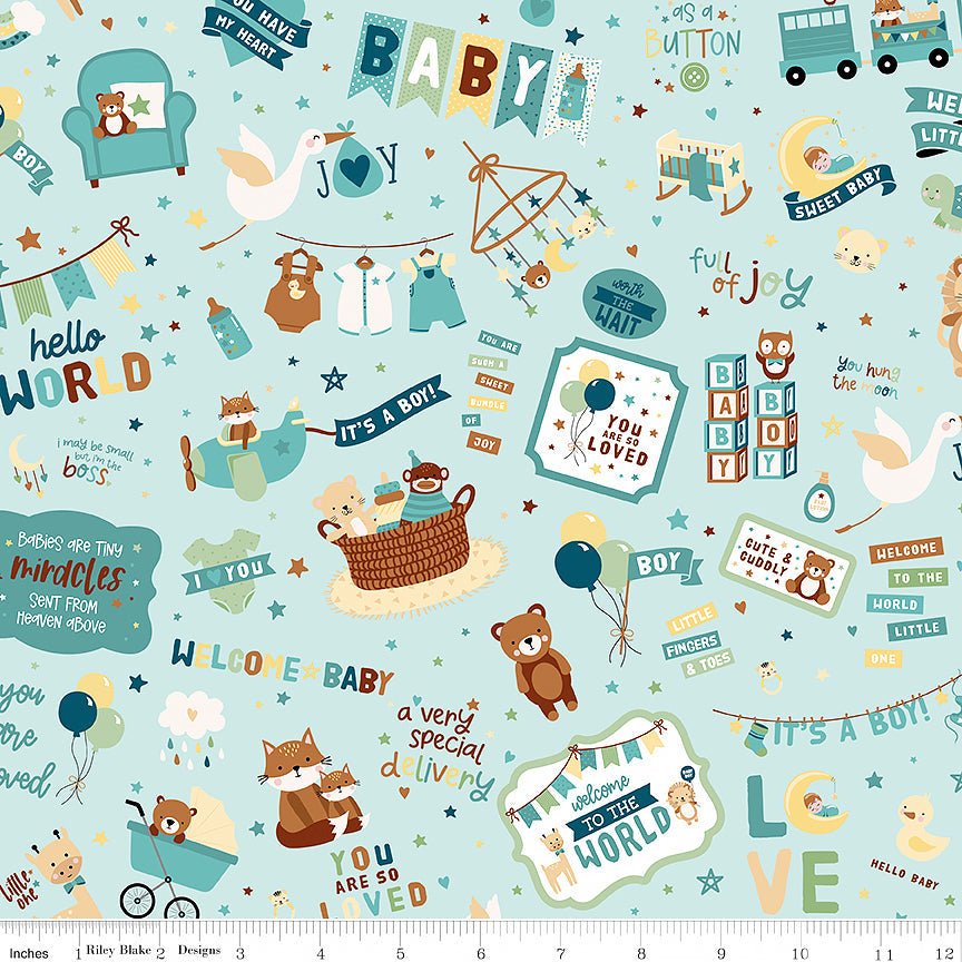 Baby Boy Main Blue - Riley Blake from Fort Worth Fabric Studio