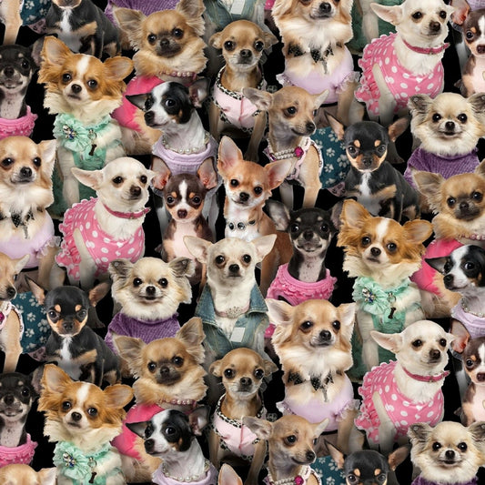 Best Friend Chihuahuas - Elizabeth's Studio from Fort Worth Fabric Studio