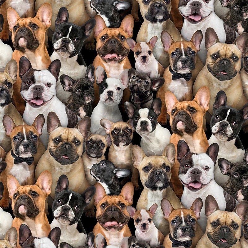 Best Friend French Bulldogs - Elizabeth's Studio from Fort Worth Fabric Studio