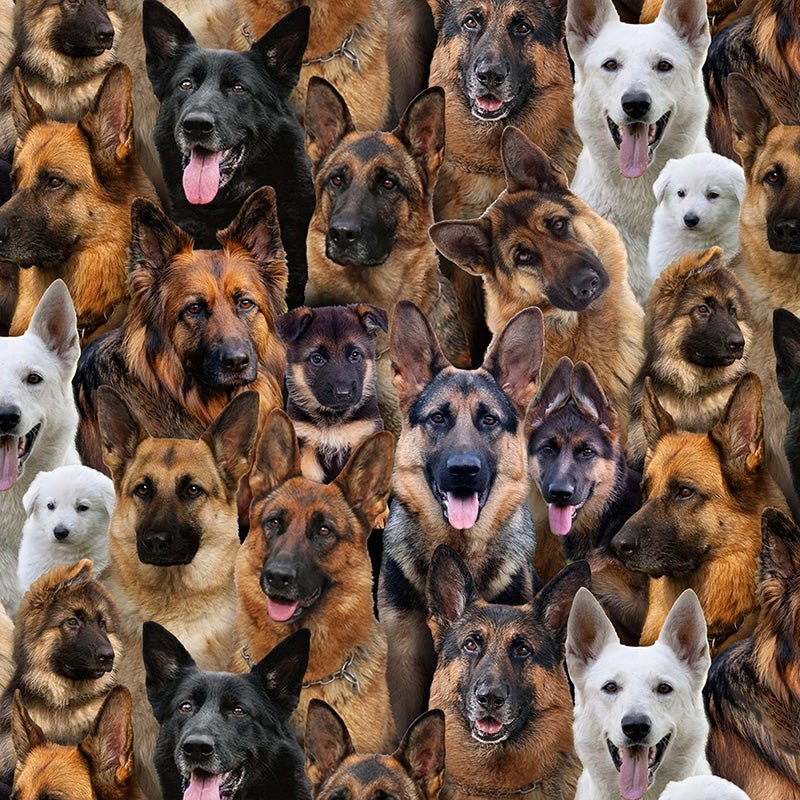 Best Friend German Shepard Multi - Elizabeth's Studio from Fort Worth Fabric Studio