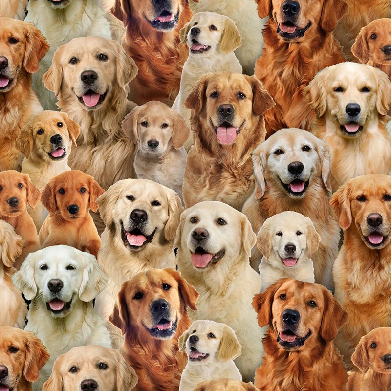 Best Friend Golden Retrievers - Elizabeth's Studio from Fort Worth Fabric Studio