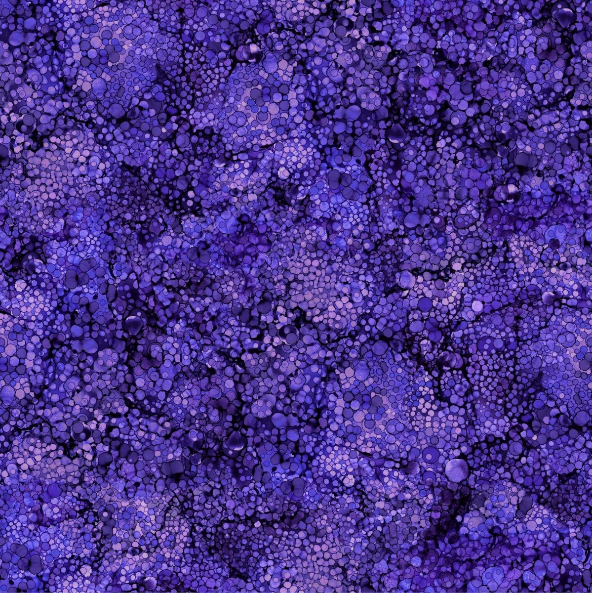 Bliss Basics Mardi Gras - Northcott from Fort Worth Fabric Studio