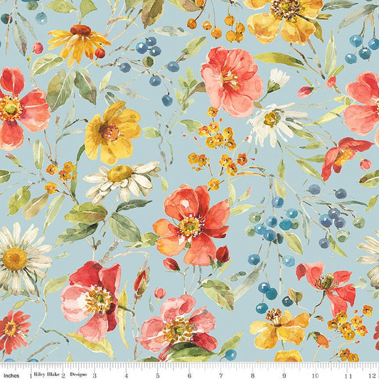 Blissful Moments Main Dream - Riley Blake from Fort Worth Fabric Studio