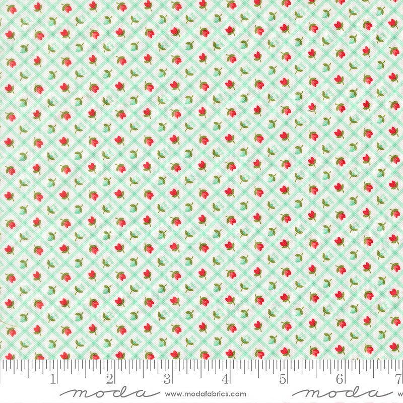 Bloomsberry Checks & Plaid Aqua - Moda from Fort Worth Fabric Studio