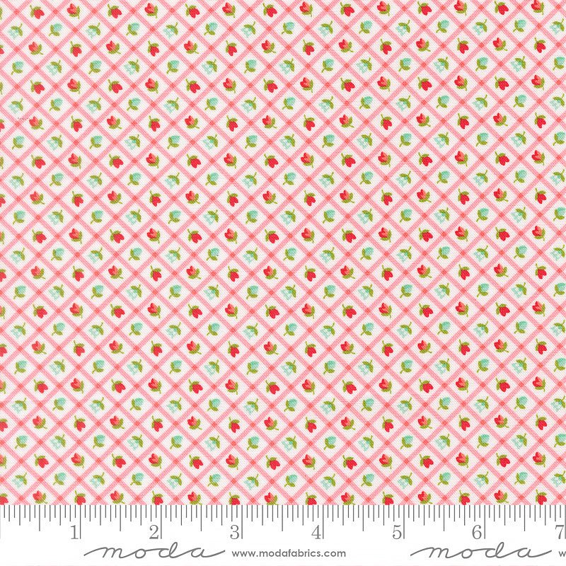 Bloomsberry Checks & Plaid Blush - Moda from Fort Worth Fabric Studio