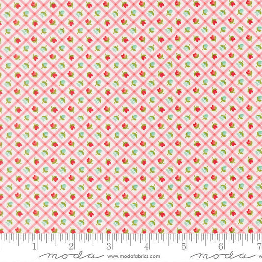 Bloomsberry Checks & Plaid Blush - Moda from Fort Worth Fabric Studio