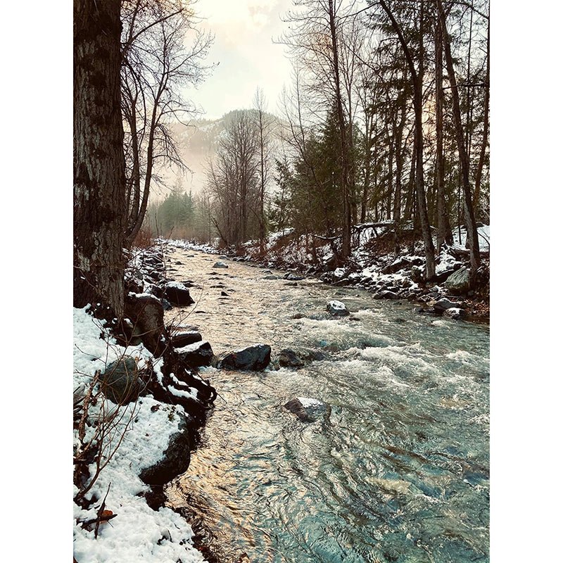 Call of the Wild 32.5" Panel Snowy River Sepia - Hoffman from Fort Worth Fabric Studio