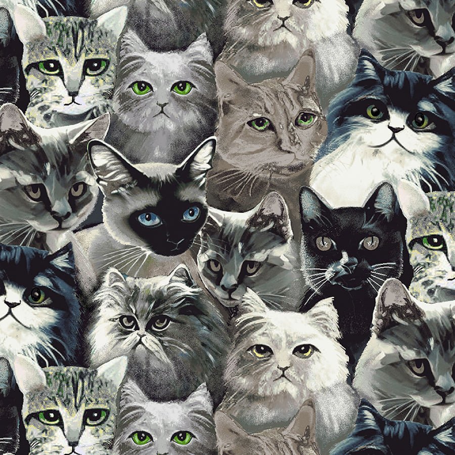 Catsup Cat Faces Black/Gray - Henry Glass from Fort Worth Fabric Studio