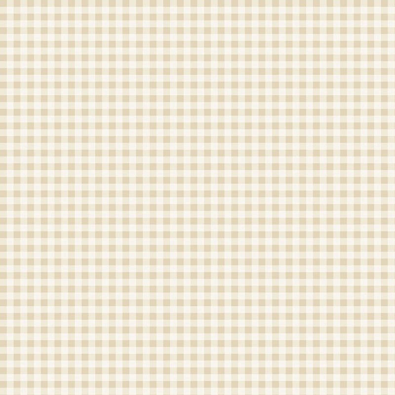 Cider Mill Gingham Harvest - P&B Textiles from Fort Worth Fabric Studio