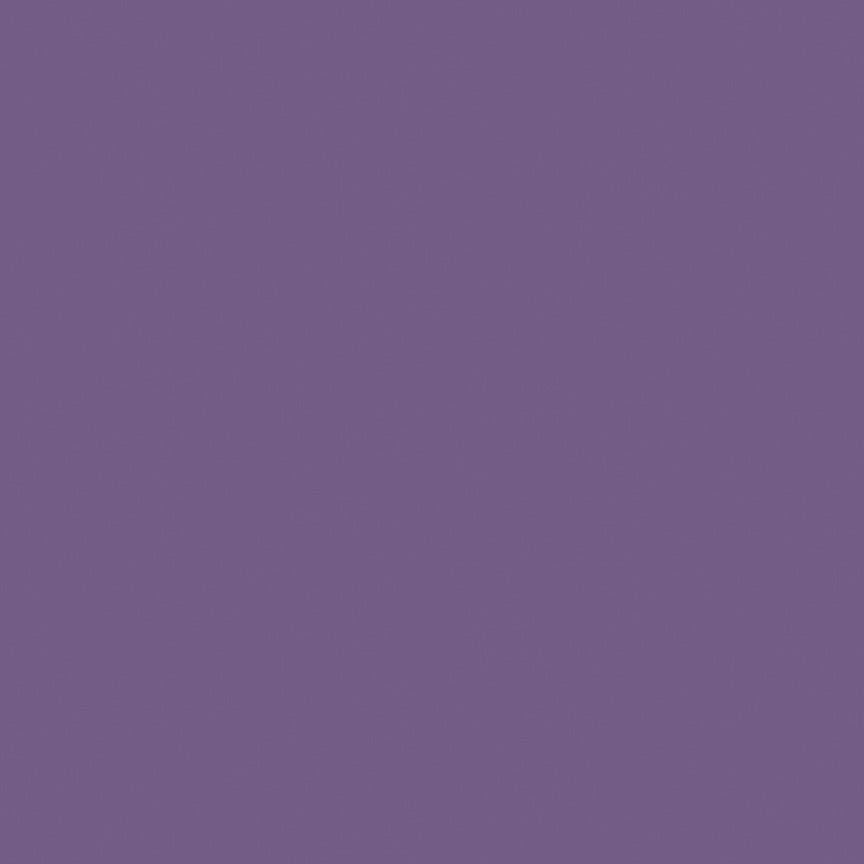 Confetti Cottons Plum FULL BOLT Special - Riley Blake from Fort Worth Fabric Studio