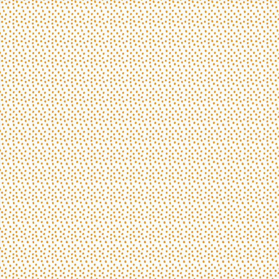 Delightful Daisies Flower Seeds White/Yellow - Benartex from Fort Worth Fabric Studio