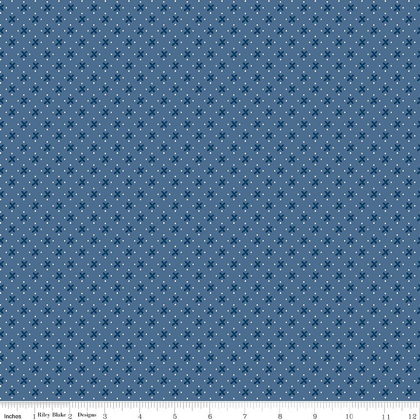 Denim & Daisy Kisses Denim - Riley Blake from Fort Worth Fabric Studio