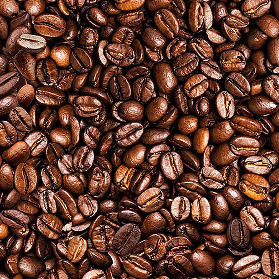 Espresso Yourself Coffee Beans Brown - Timeless Treasures from Fort Worth Fabric Studio