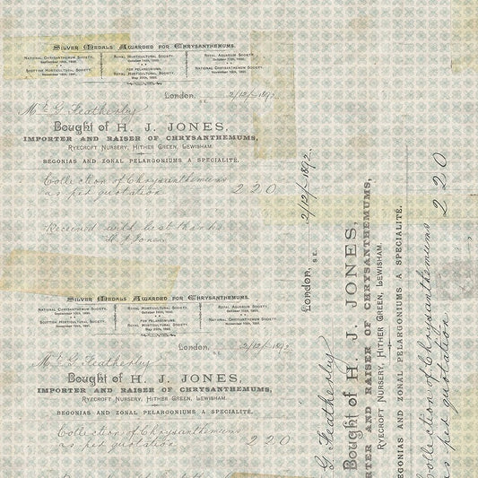 Foundations Horticulture Aqua - Free Spirit from Fort Worth Fabric Studio