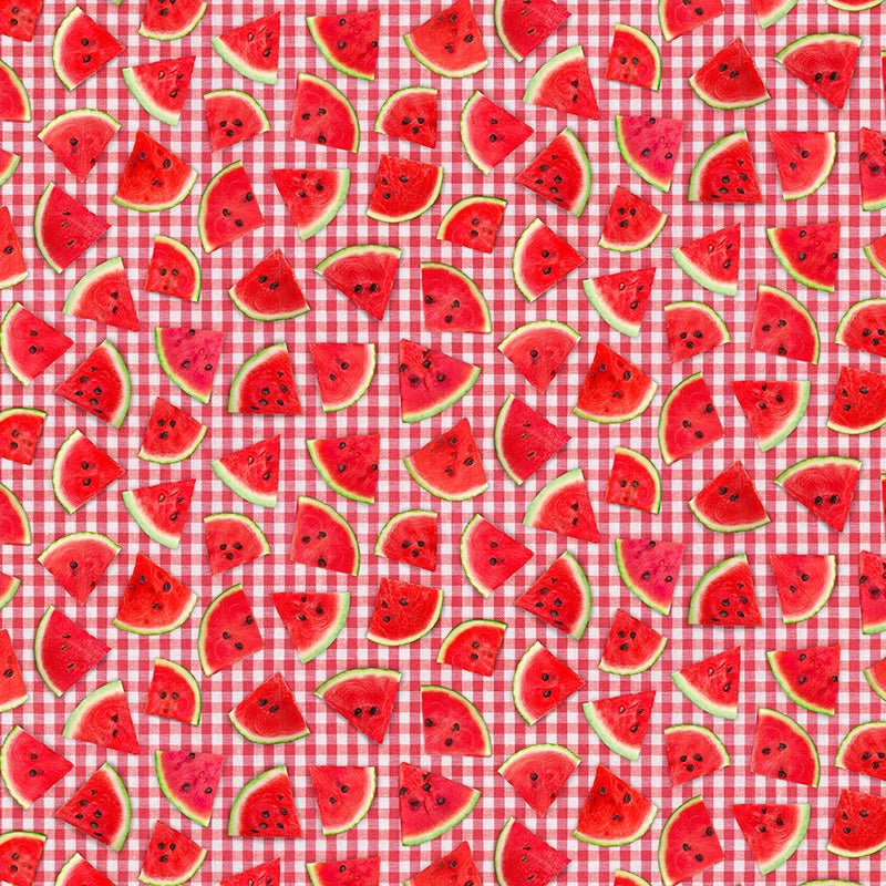 Fresh Fruit Watermelon Slice on Plaid Red - Timeless Treasures from Fort Worth Fabric Studio