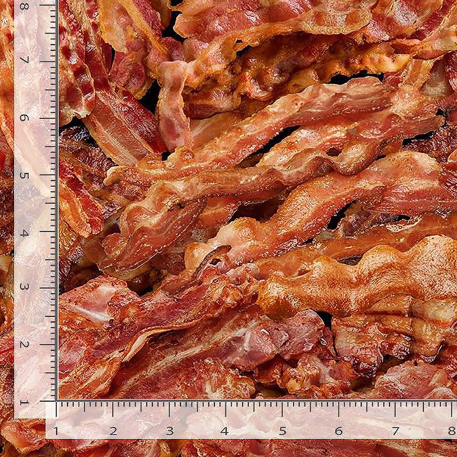 Got the Munchies Packed Fried Bacon - Timeless Treasures from Fort Worth Fabric Studio