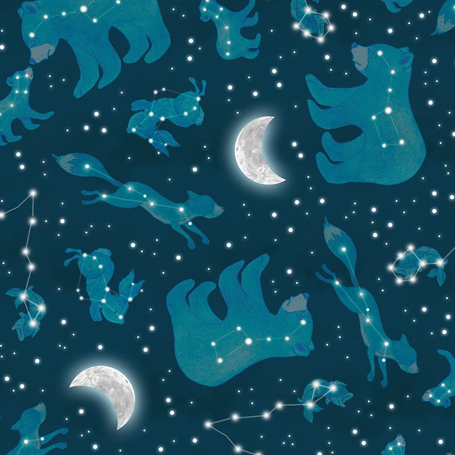 Happy Campers Minky Constellations Dark Blue - Henry Glass from Fort Worth Fabric Studio
