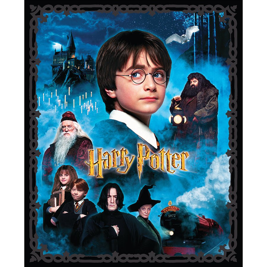 Harry Potter 36" Panel Black Multi - Benartex from Fort Worth Fabric Studio