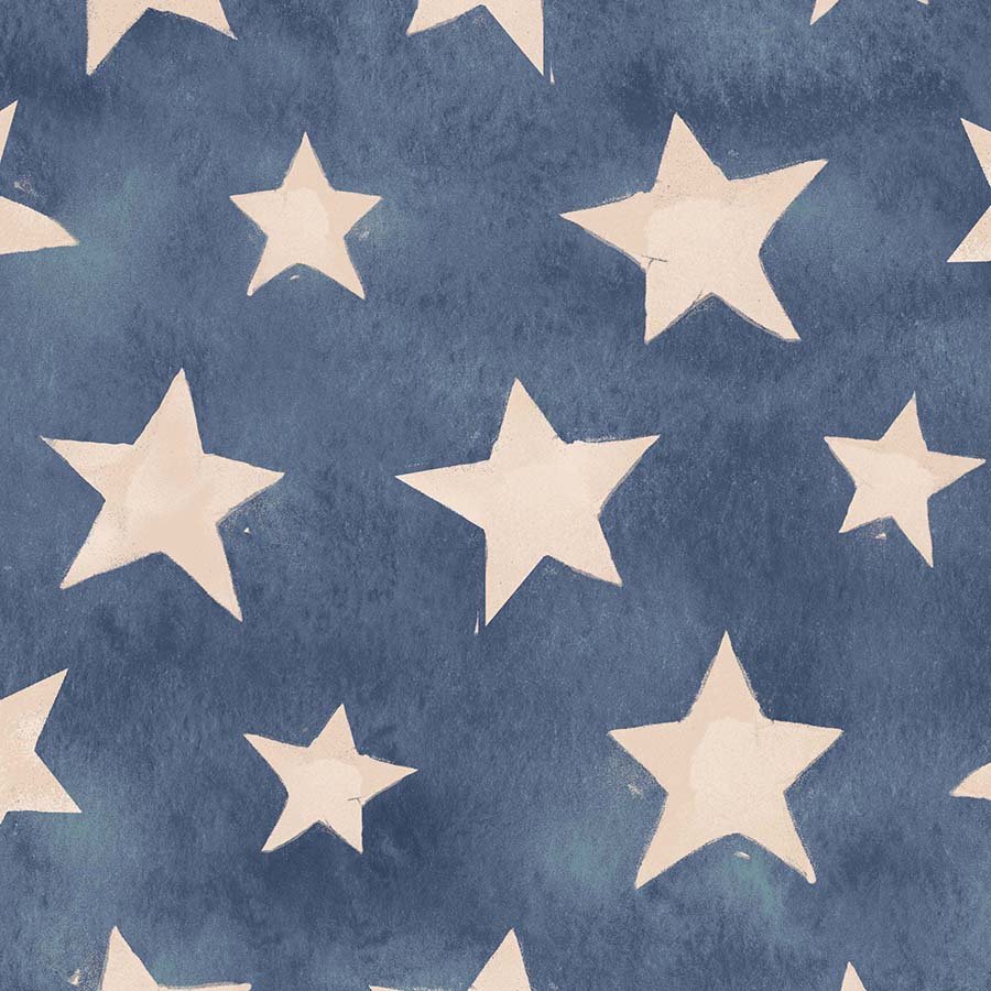 Heroes Wanted Minky Stars Denim - A.E. Nathan from Fort Worth Fabric Studio