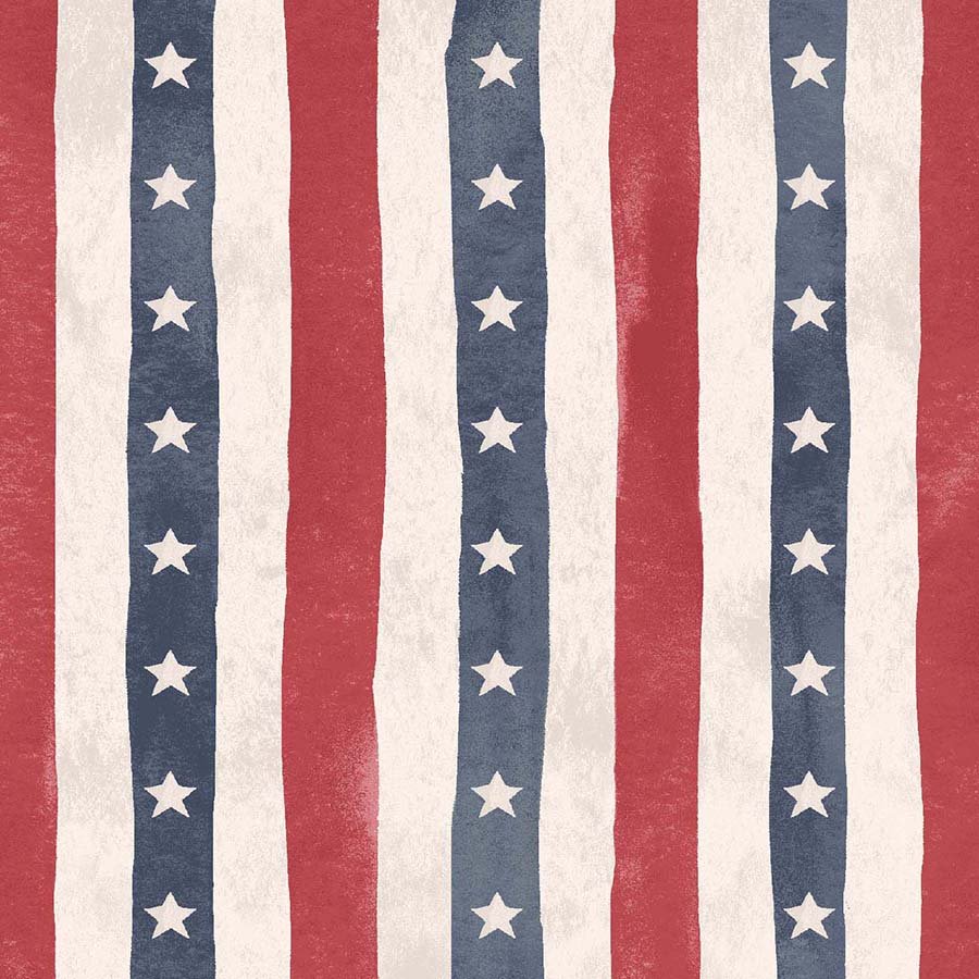Heroes Wanted Minky Stars & Stripes Denim/Red - A.E. Nathan from Fort Worth Fabric Studio