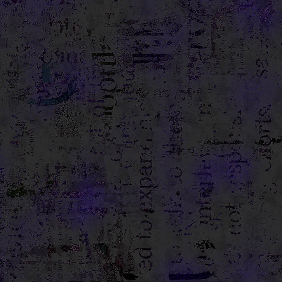 Just Sayin' Mixed Media Texture Charcoal - Studio E from Fort Worth Fabric Studio