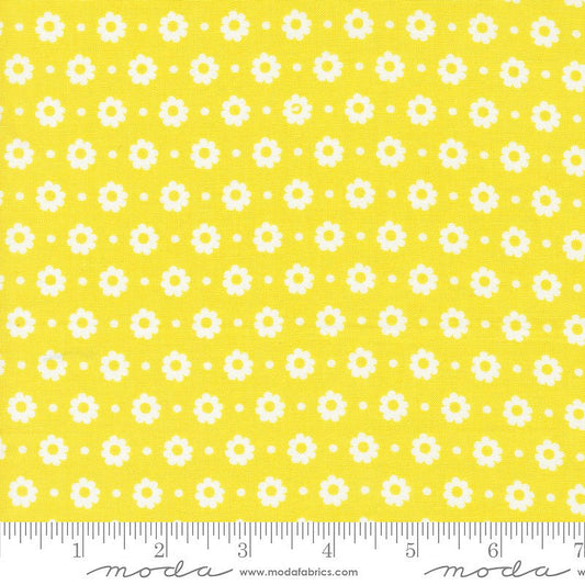 Laguna Sunrise Petal Dots Citrine - Moda from Fort Worth Fabric Studio