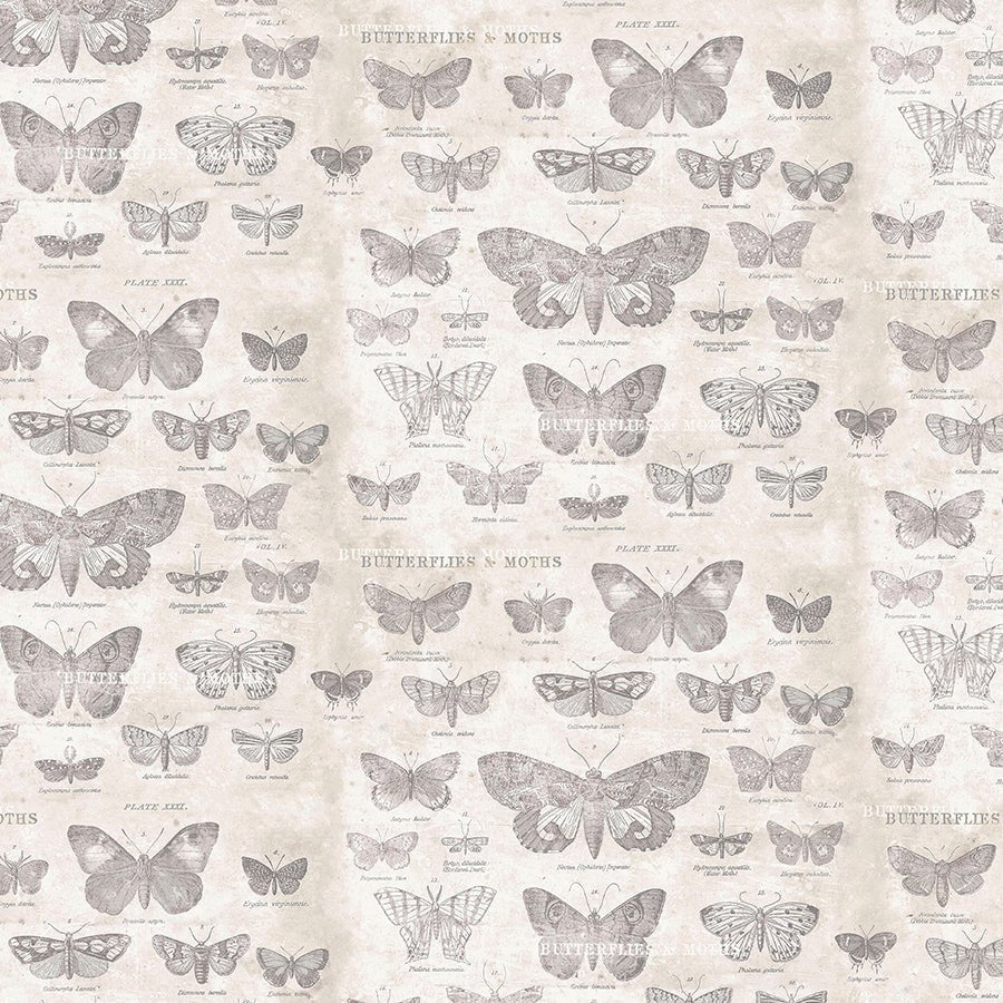 Monochrome Butterflies Parchment - Free Spirit from Fort Worth Fabric Studio