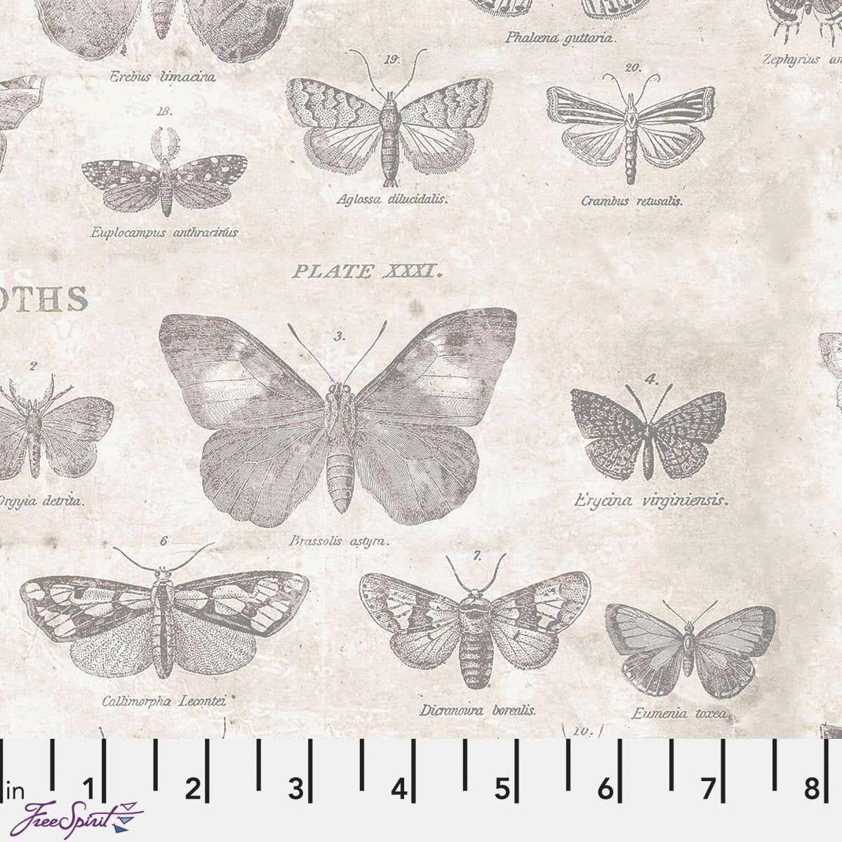 Monochrome Butterflies Parchment - Free Spirit from Fort Worth Fabric Studio