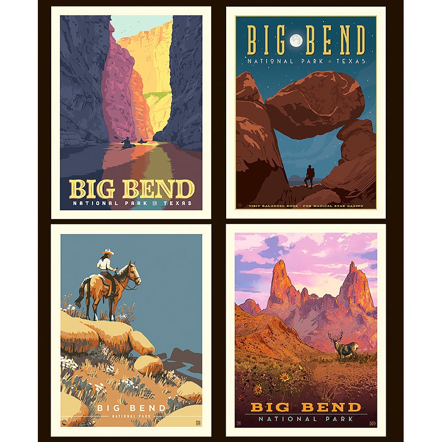 National Parks 36" Big Bend Pillow Panel Multi - Riley Blake from Fort Worth Fabric Studio