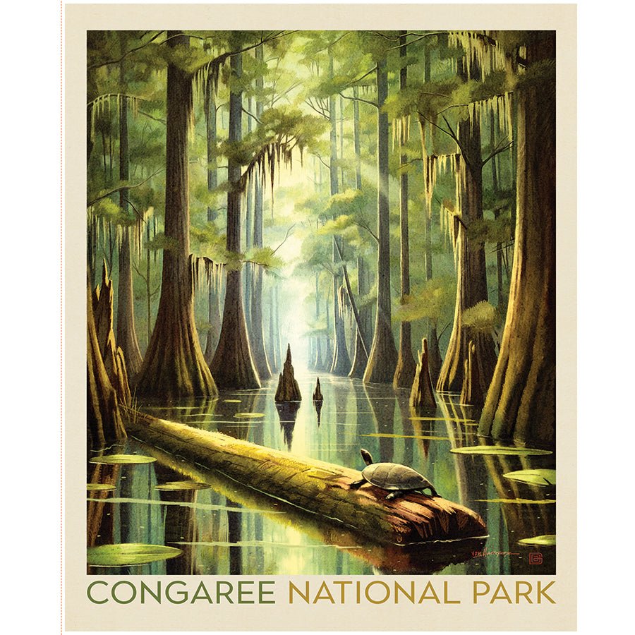 National Parks 36" Congaree Panel Multi - Riley Blake from Fort Worth Fabric Studio