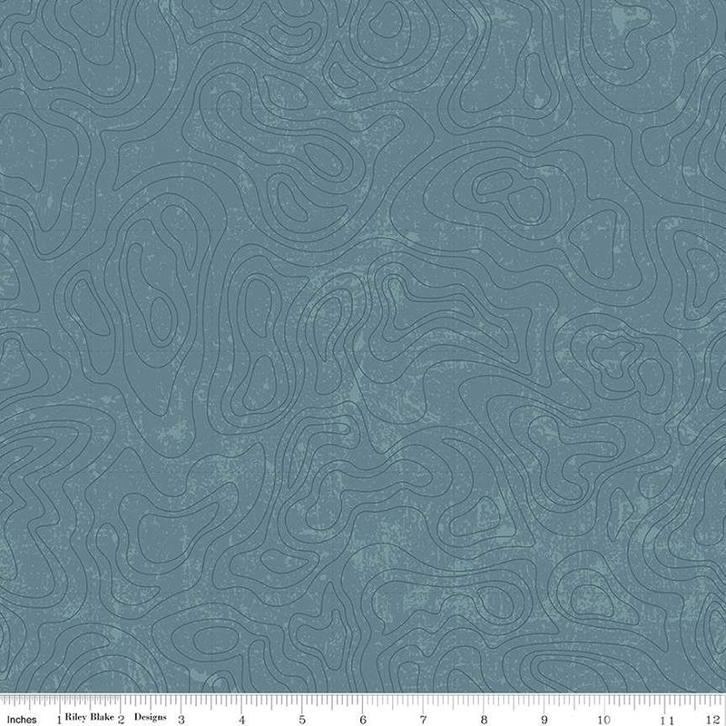 National Parks Topographic Blue - Riley Blake from Fort Worth Fabric Studio