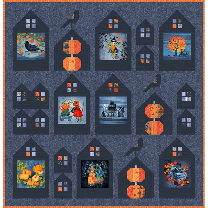 Neighborhood Views Quilt Pattern by Robin Pickens - Robin Pickens from Fort Worth Fabric Studio