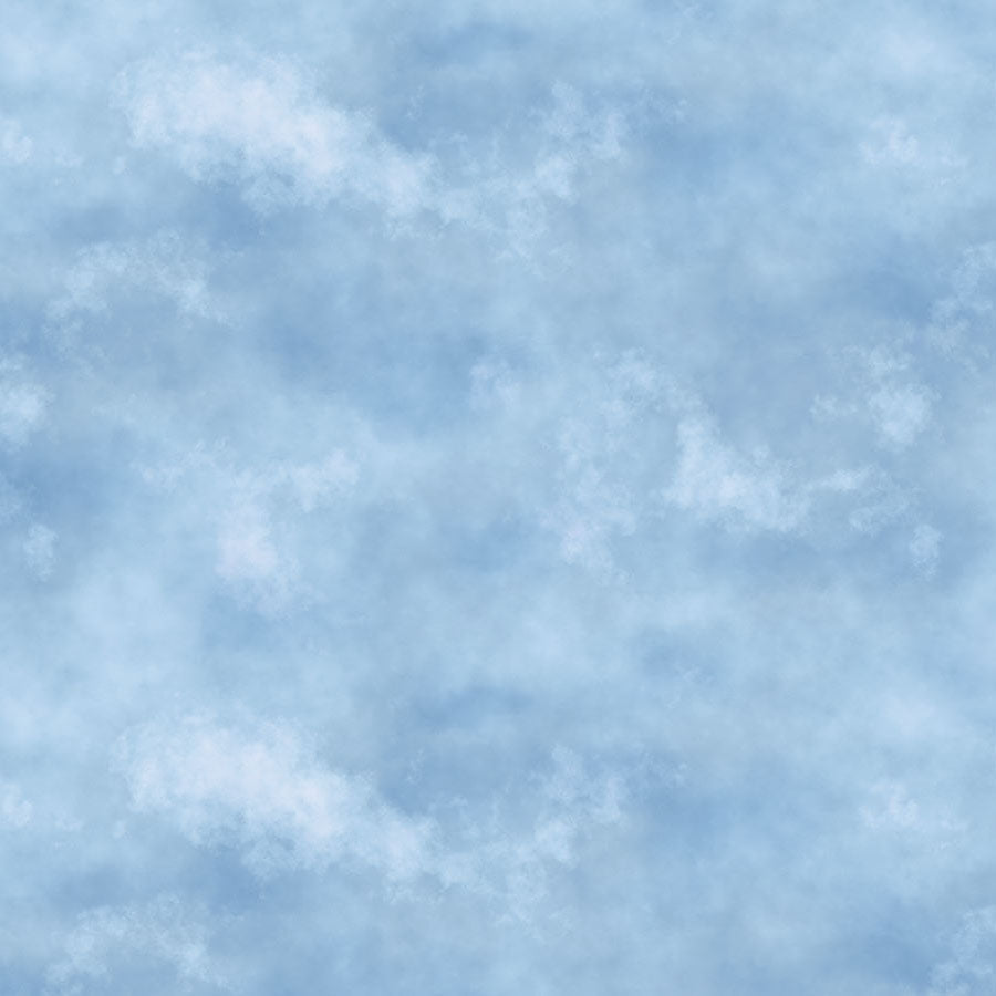 Northwoods Clouds Blue - Northcott from Fort Worth Fabric Studio