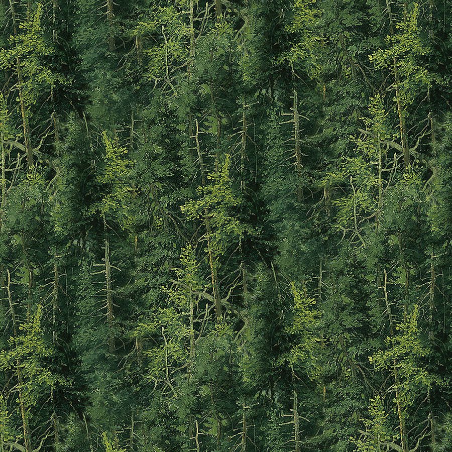 Northwoods Evergreen Trees Dark Green - Northcott from Fort Worth Fabric Studio