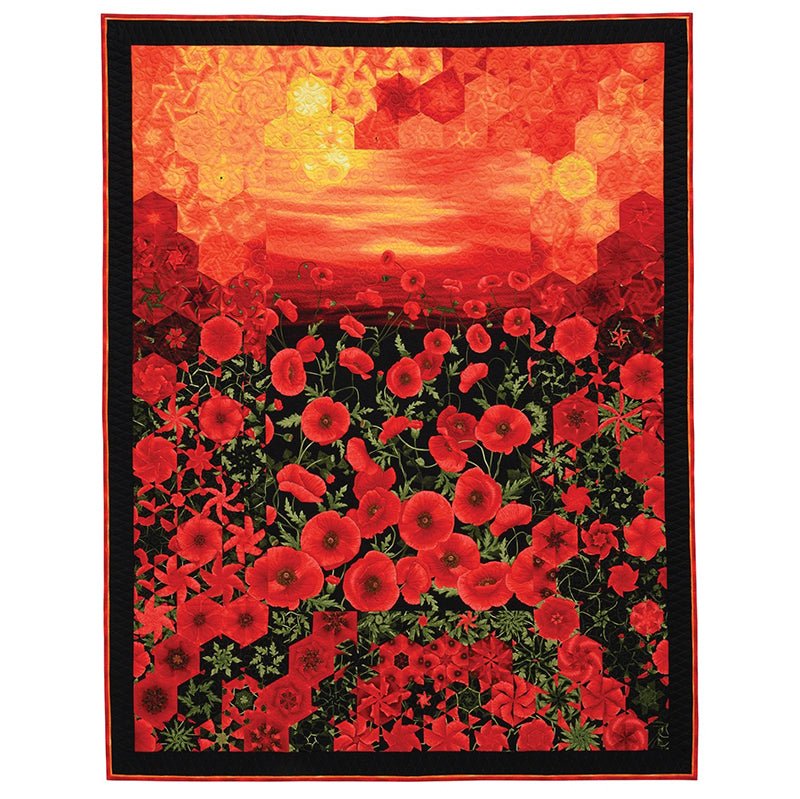 One - Block Wonder Panel Quilts Pattern Book - C&T Publishing from Fort Worth Fabric Studio