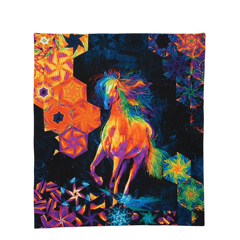 One - Block Wonder Panel Quilts Pattern Book - C&T Publishing from Fort Worth Fabric Studio